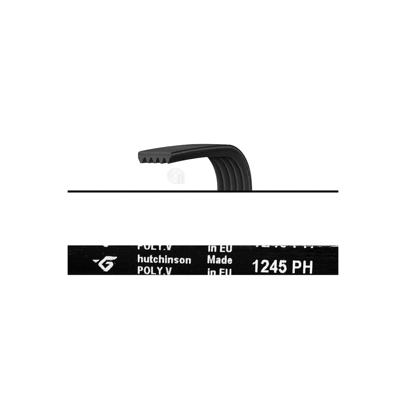UNIVERSAL - Courroie de transmission Poly-V H5 1245 Lave-linge - 1245H5