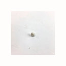 Vis de fixation pour filtre de sèche-linge Candy 40006911