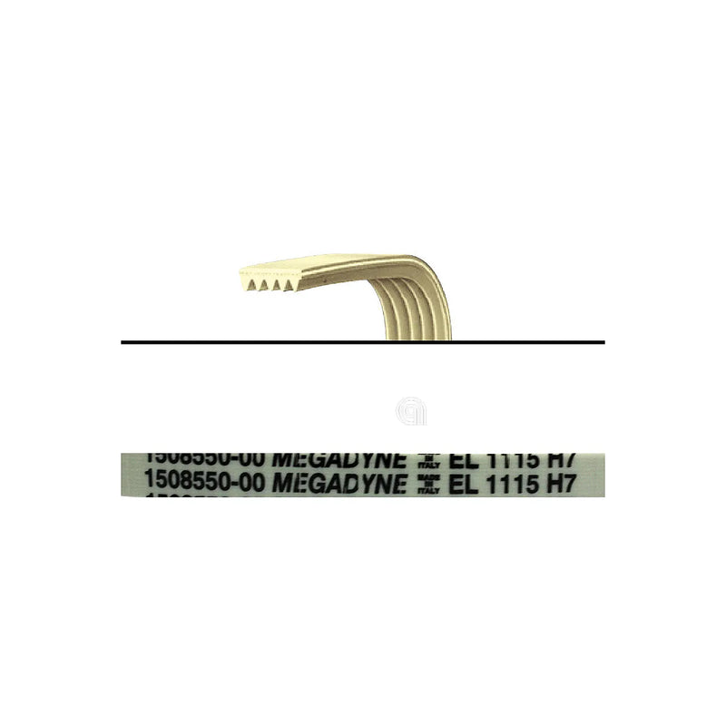 ELECTROLUX, REX, ZANUSSI, PRIVILEG, ZANKER, UNIVERSALE - Courroie de lave-linge 1115 H7 - 1508550009