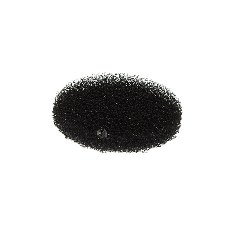 Filtre éponge original pour aspirateur De Longhi 5319290021