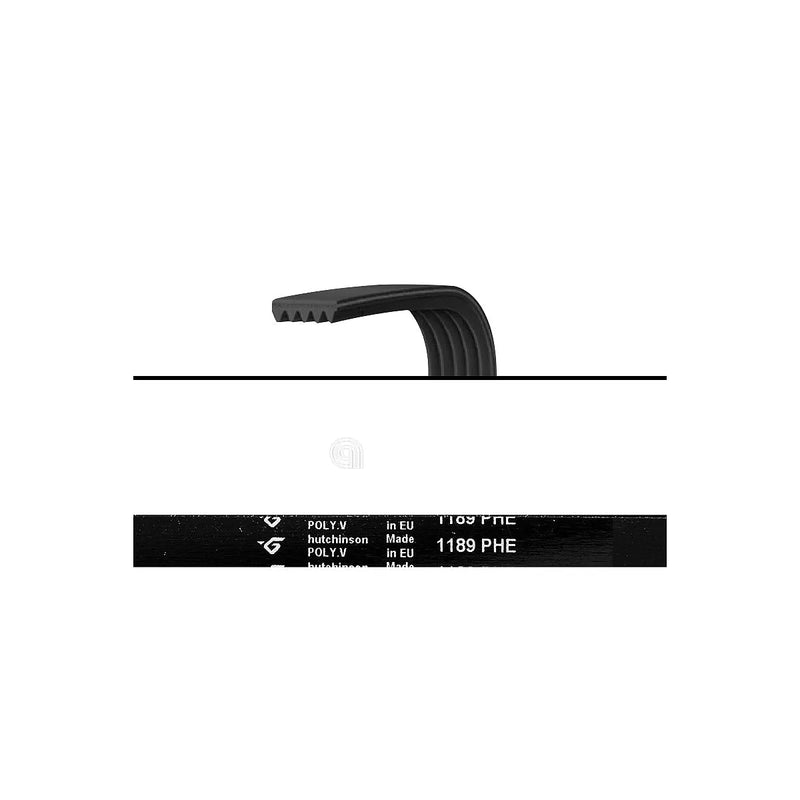 ELECTROLUX UNIVERSEL - Courroie de transmission pour lave-linge - AST-00126648