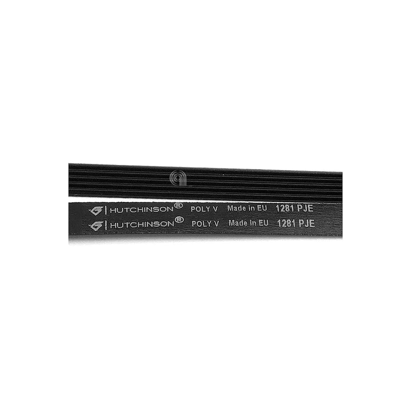 ELECTROLUX, MIDEA - Courroie de lave-linge 1281 J5 EL - 4055123915