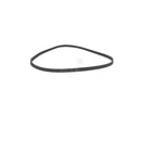 UNIVERSAL - Courroie de Transmission J5 1200 Poly-V pour Lave-linge - AST-00126266