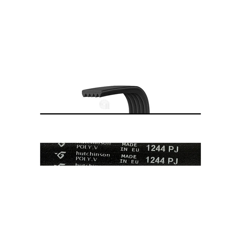 WHIRLPOOL, INDESIT, GORENJE - Courroie Poly-V J5 pour Machine à Laver - 1244J5