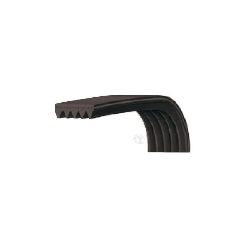 Courroie J3 1242 Poly-V pour lave-linge Beko originale 2834590100