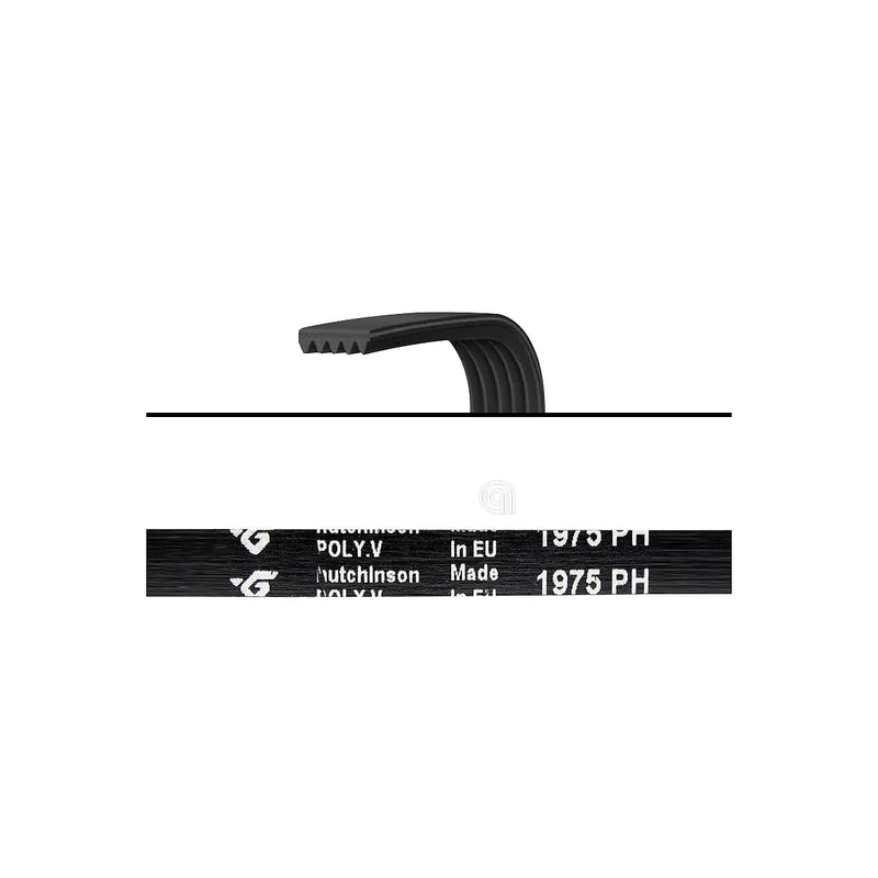 ELECTROLUX - Courroie de Transmission pour Lave-linge et Sèche-linge - AST-00126257