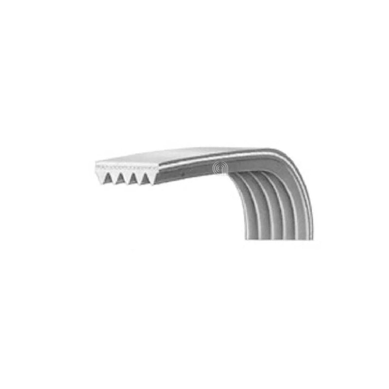 BEKO - Courroie de Transmission Poly-V 1244 J5 Lave-linge - 2466300201