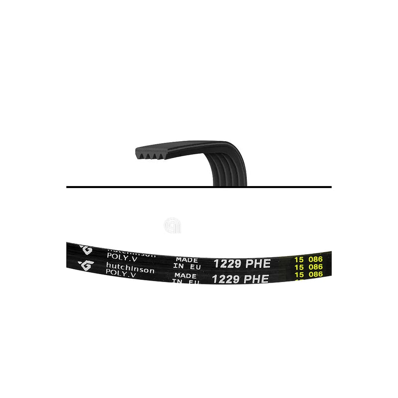 WHIRLPOOL, BAUKNECHT, POLAR, IGNIS - Courroie de machine à laver 1229 H6 - 480111101149