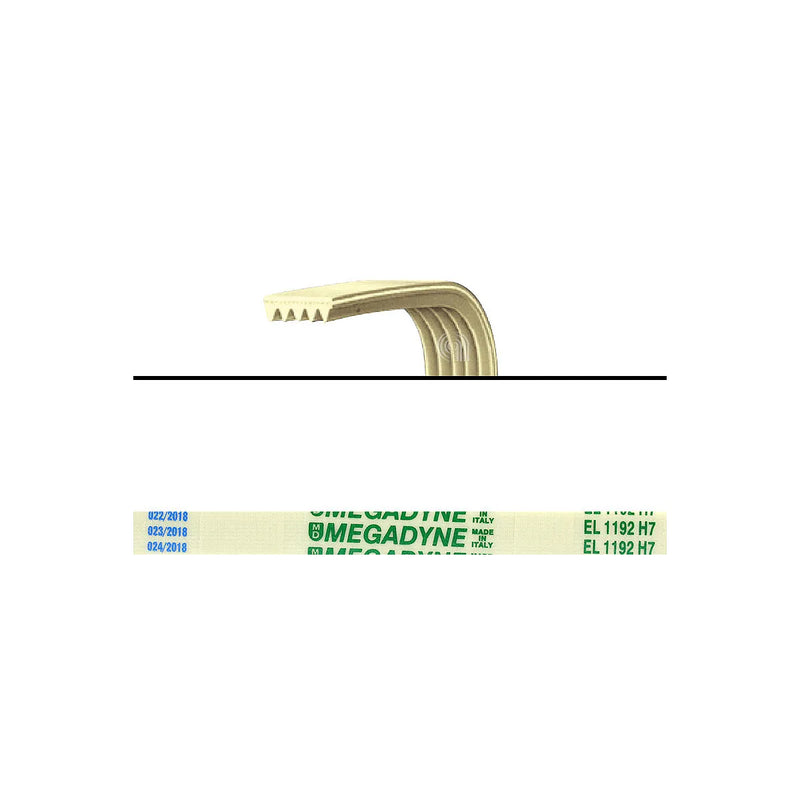 SILTAL ARISTON INDESIT MERLONI - Courroie de transmission pour lave-linge - C00063428