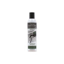 Spray désinfectant pour filtres et parties internes Tekna Climacare 55101045