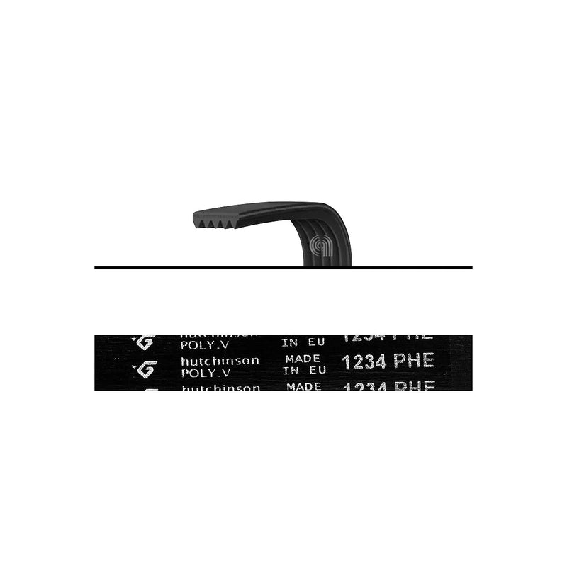 ARDO - Courroie de Transmission H8 1234 Poly-V pour Lave-linge - 416004300