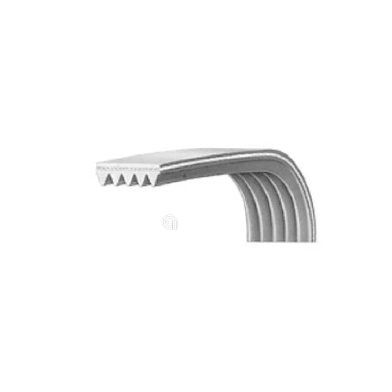 VESTEL - Courroie Élastique H8 1228 Poly-V Lave-linge - 42006395