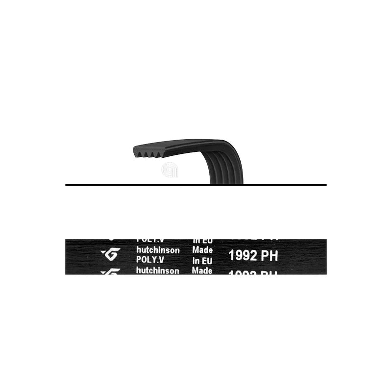 BAUKNECHT WHIRLPOOL SIEMENS - Courroie Poly-V pour Sèche-linge et Lave-linge 1992 H7 - 481935828002