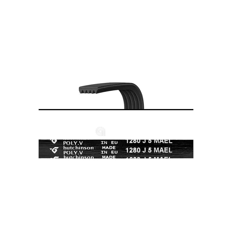 ZANUSSI - Courroie de Transmission J5 1280 Lave-linge - 1323531101