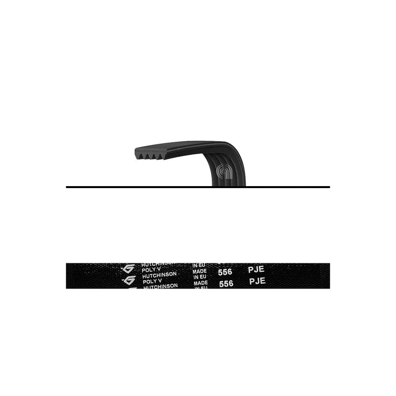 WHIRLPOOL MAYTAG - Courroie de transmission élastique J5 556 Poly-V pour lave-linge - W10006384