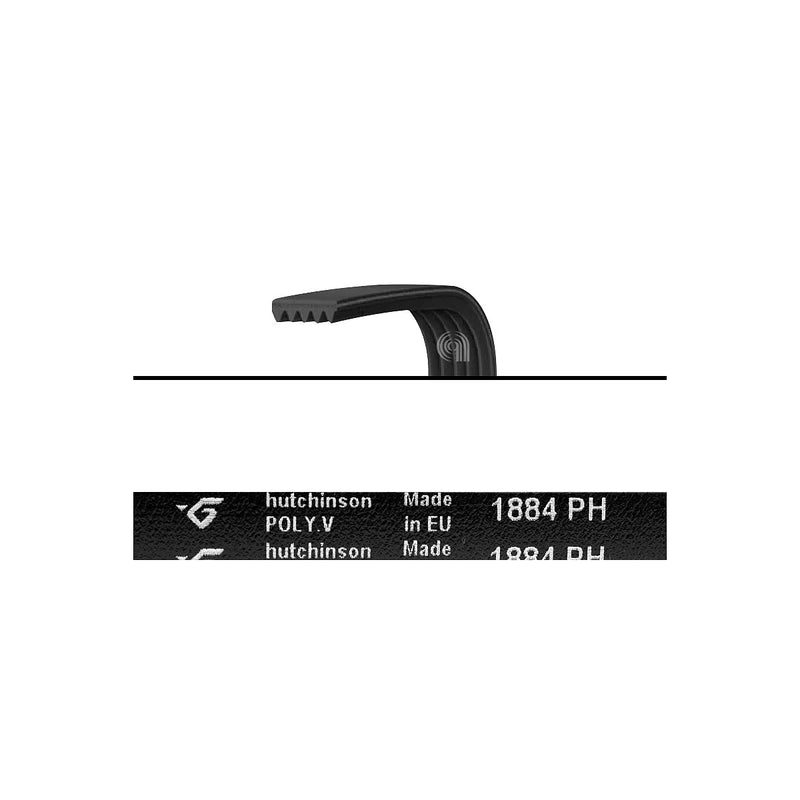 ELECTROLUX, AEG, ZANUSSI - Courroie Poly-V 1884 H5 pour sèche-linge - 1255028100