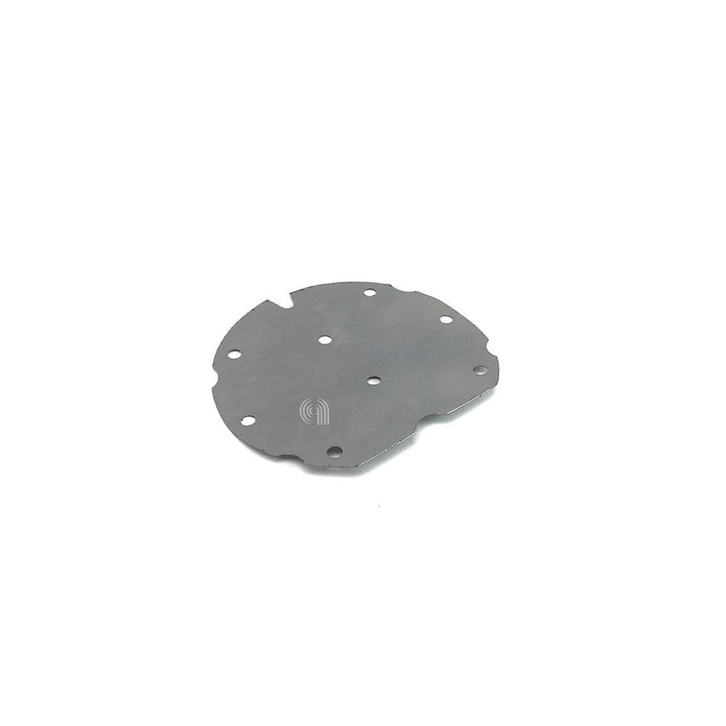 plaque graphite pour aspirateur vapeur Tefal Rowenta cs00090990
