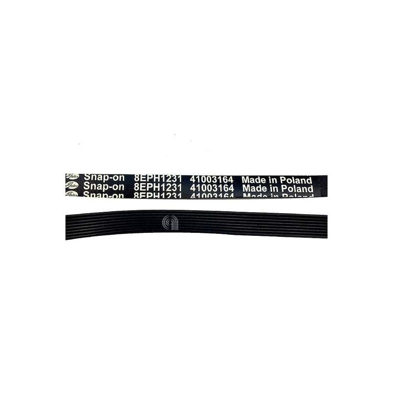 Courroie H8 1231 Poly-V originale pour lave-linge Candy et compatibles