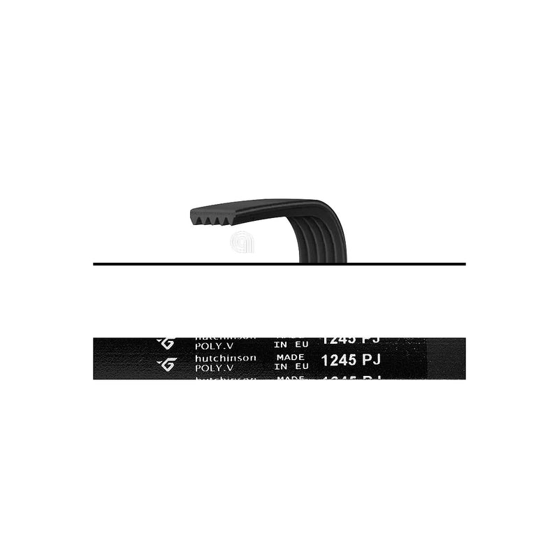 WHIRLPOOL INDESIT HOTPOINT - Courroie J5 1245 Lave-linge - C00161609