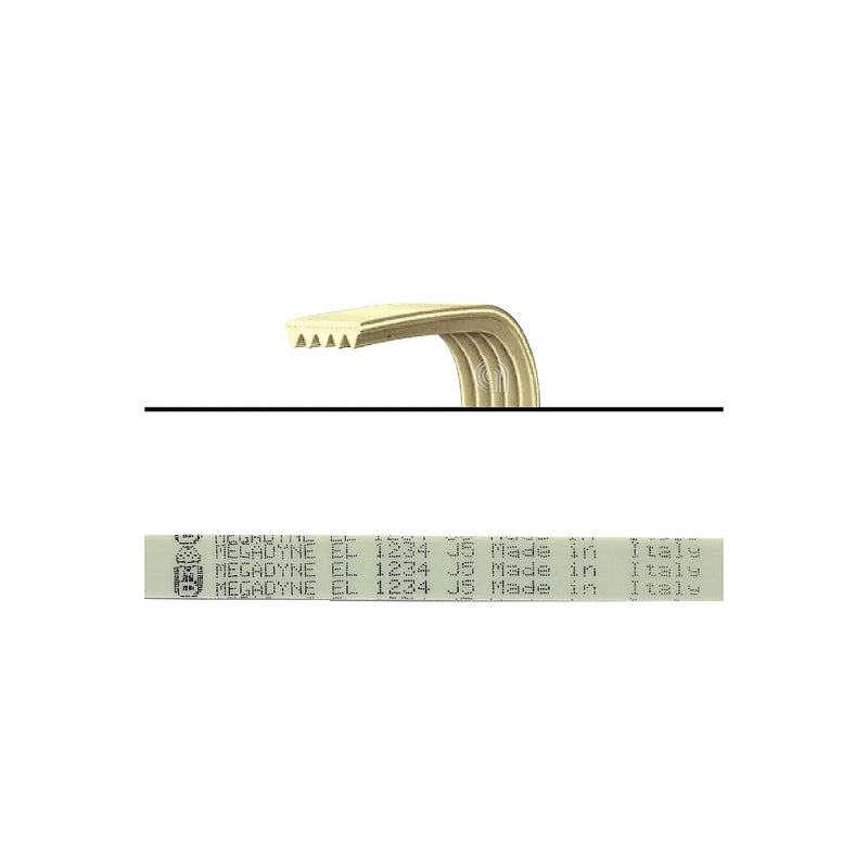 CANDY - Courroie élastique J5 1234 pour lave-linge - AST-00126440