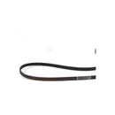 Courroie J4 1250 Poly-V originale pour lave-linge Whirlpool Indesit C00311078