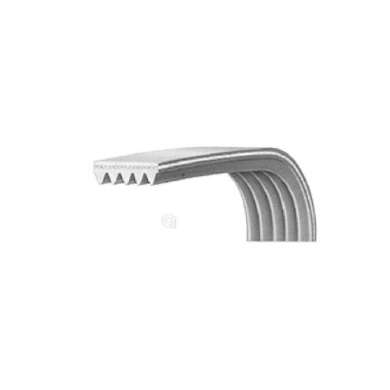 courroie poly-v H6 1227 pour lave-linge Bompani et Vestel originale