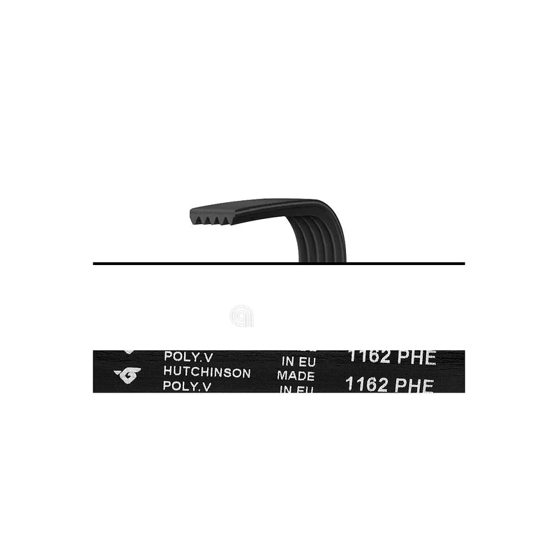 ATLANT - Courroie Poly-V H7 pour Machine à Laver - 908092003041