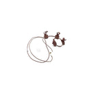 Bougie d'allumage pour plaques Whirlpool Indesit Hotpoint C00738262