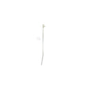 UNIVERSALE, MONDE - Collier de serrage pour accessoires - AST-55504073