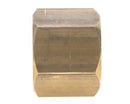 Bouchon SAE 3/4' 'h